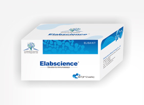 Human ADP/Acrp30 (Adiponectin) ELISA Kit