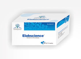 Human ADP/Acrp30 (Adiponectin) ELISA Kit