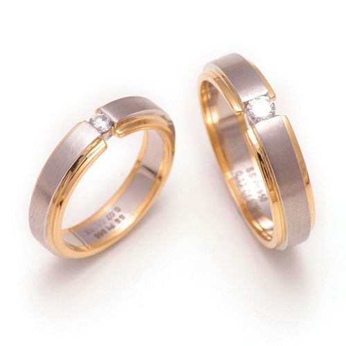 Platinum and Gold Fusion rings