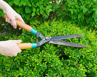 Horticulture Maintenance