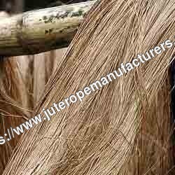 Musti Kusa Grass Fiber Musti Kusa Grass Fiber