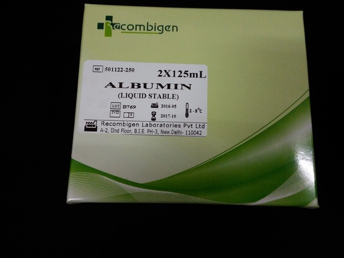 Albumin