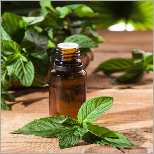 Peppermint Oil