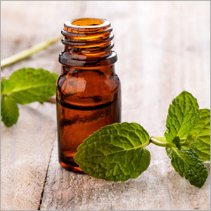 Mentha Oil IP