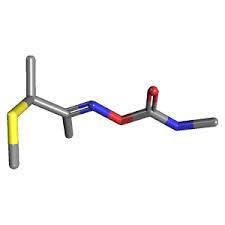 Butocarboxim Solution - Molecular Formula: C7H14N2O2S