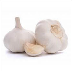 Fresh Indian Garlic