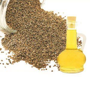 Ajwain Oil