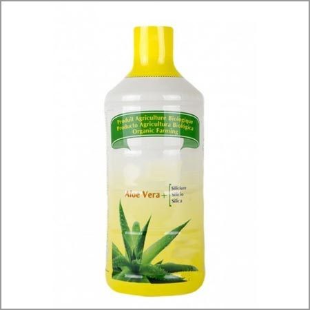 Aloe Vera Pulp Juice