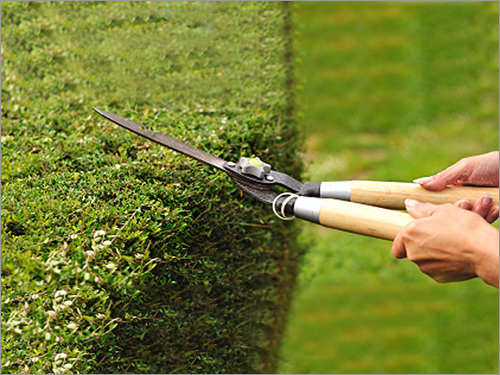 Garden Maintenance Services