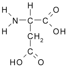 Aspartic Acid C4H7No4