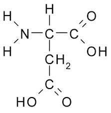 Aspartic acid