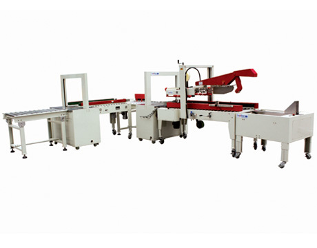 Carton Wrapping Machine