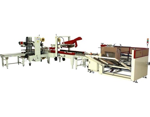 Lined Carton Packing Machine