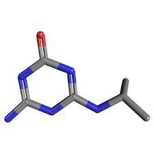 Atrazine-desethyl-2-hydroxy