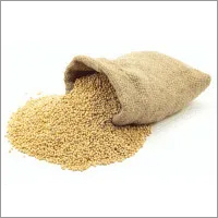 Green Millet Green Millet