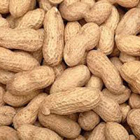 Ground Nut