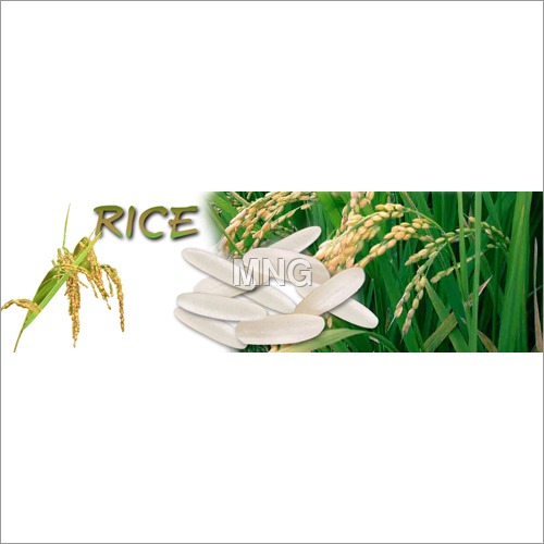 Sella Basmati Rice