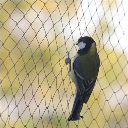 Anti Bird Net