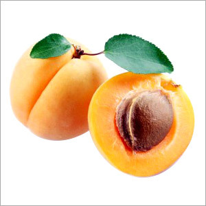 Apricot (Khurmani)