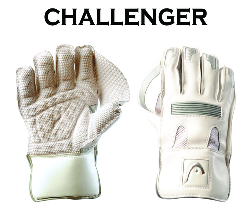 Wicket keeping Gloves