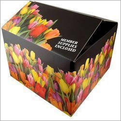 Printed Boxes