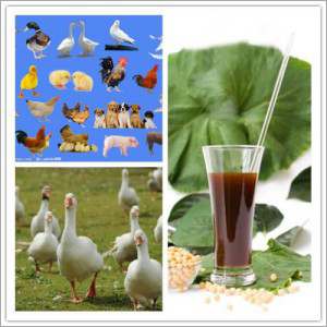 Feed Grade Soya Lecithin Liquid