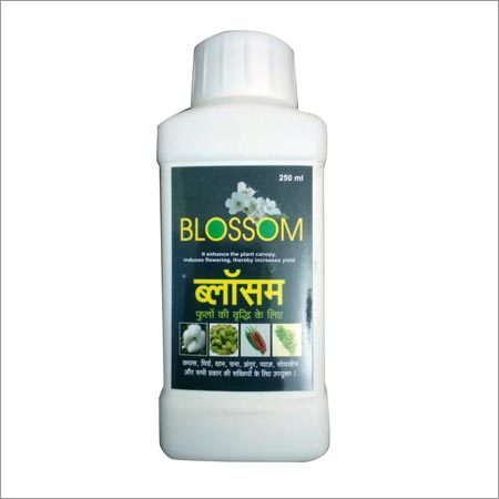 Blossom Flower Plant Fertilizers