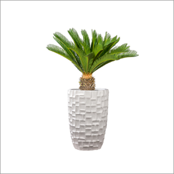 FRP Designer Indoor Planters