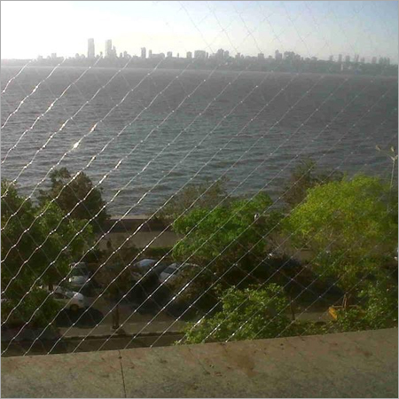 Pigeon Net