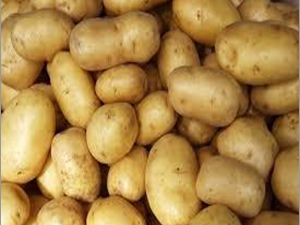 Fresh Potato