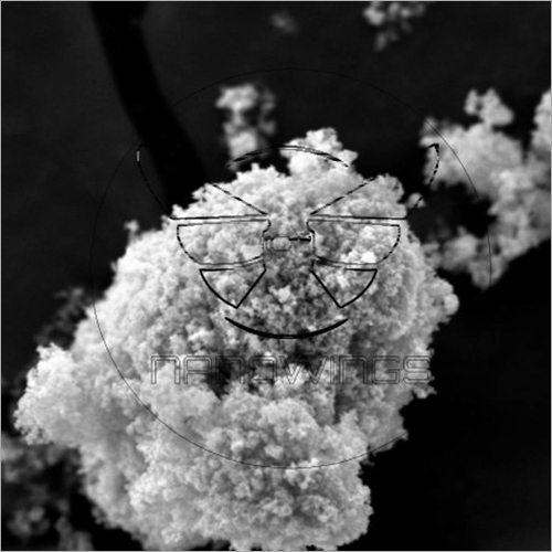 Titania Nanoparticles Chemical Composition: Tio2