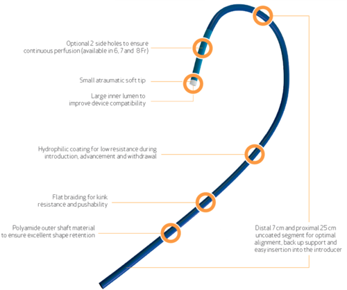 Blue Ptca Guiding Catheter- Climber