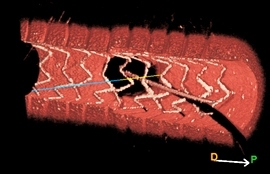 Orange Console Lunawave
