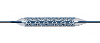 Blue And White Drug Eluting Stent Nobori