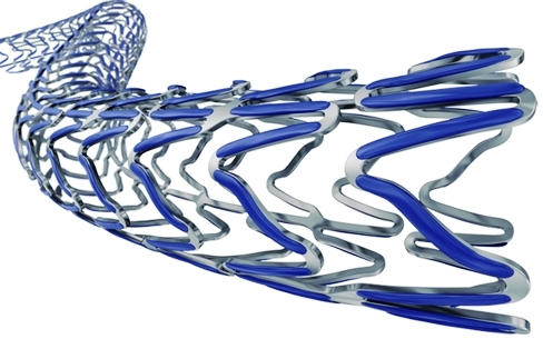 Drug Eluting Stent Ultimaster Application: For Hospital