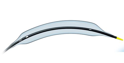 Sky Blue Empiratm Rx Ptca Pre- Dilation Catheter