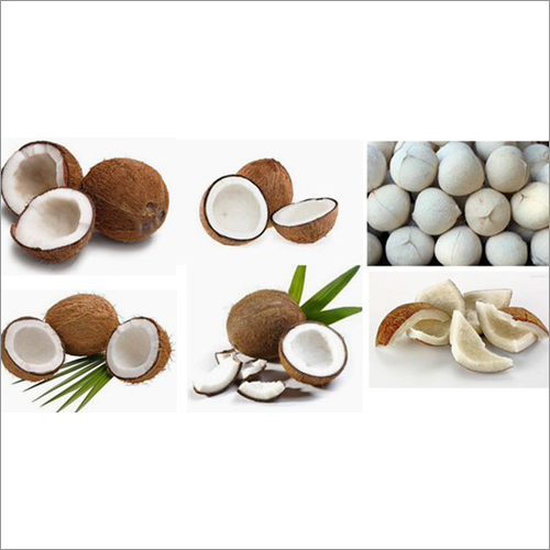 Copra Coconut