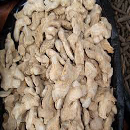Ginger