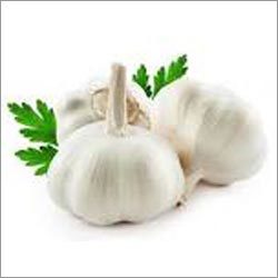 Indian Garlic Indian Garlic