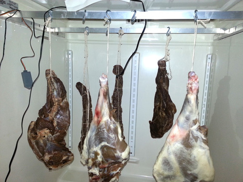 Meat Freezer Chamber