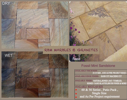 Sandstone- Fossil Mint