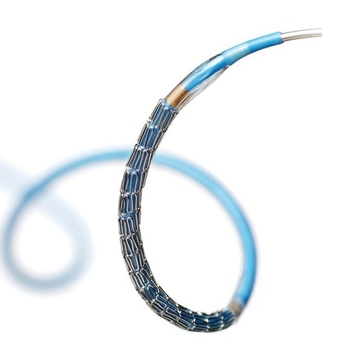 Integrity Coronary Stent System Application: For Hospital