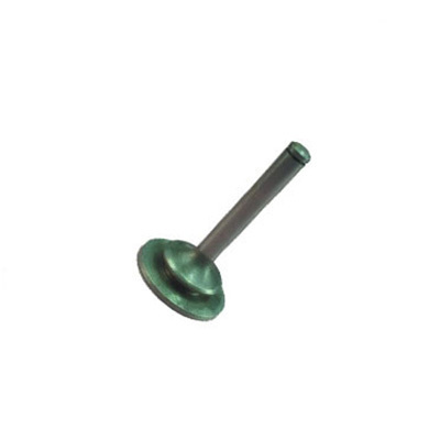 Pump Non Return Valve