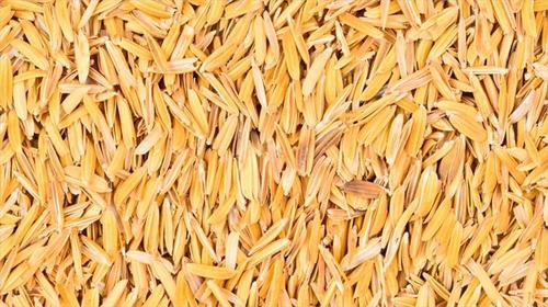 Paddy Husk Rice