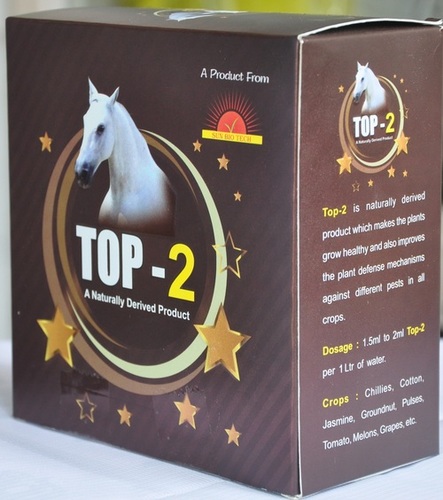 TOP-2