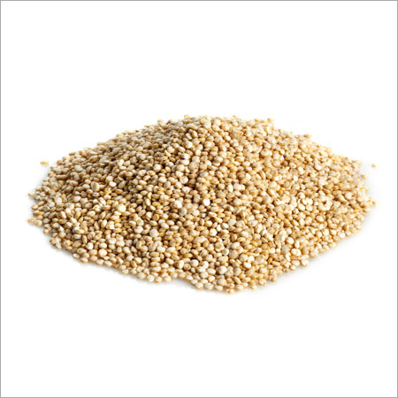 Organic Quinoa Seeds