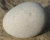 Lime stone pebble