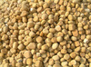 Yellow Pebbles