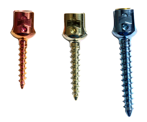 Titanium Spinal Implants