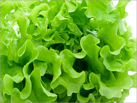 Leafy Green Vegetables